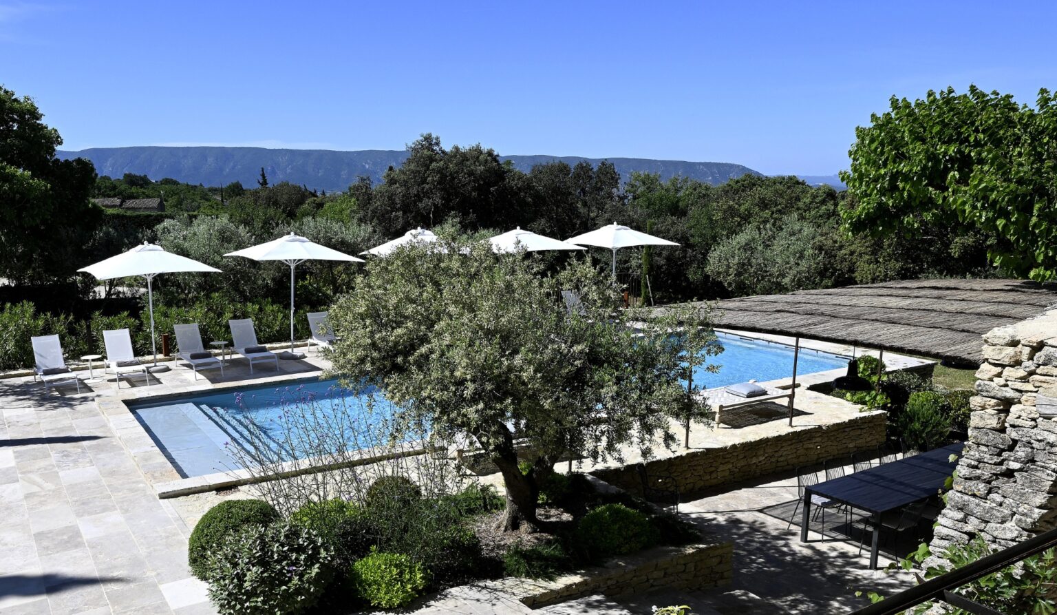 Piscine provençale entourée d’oliviers et de végétation – cadre paisible pour réception élégante avec L'effet Maria.